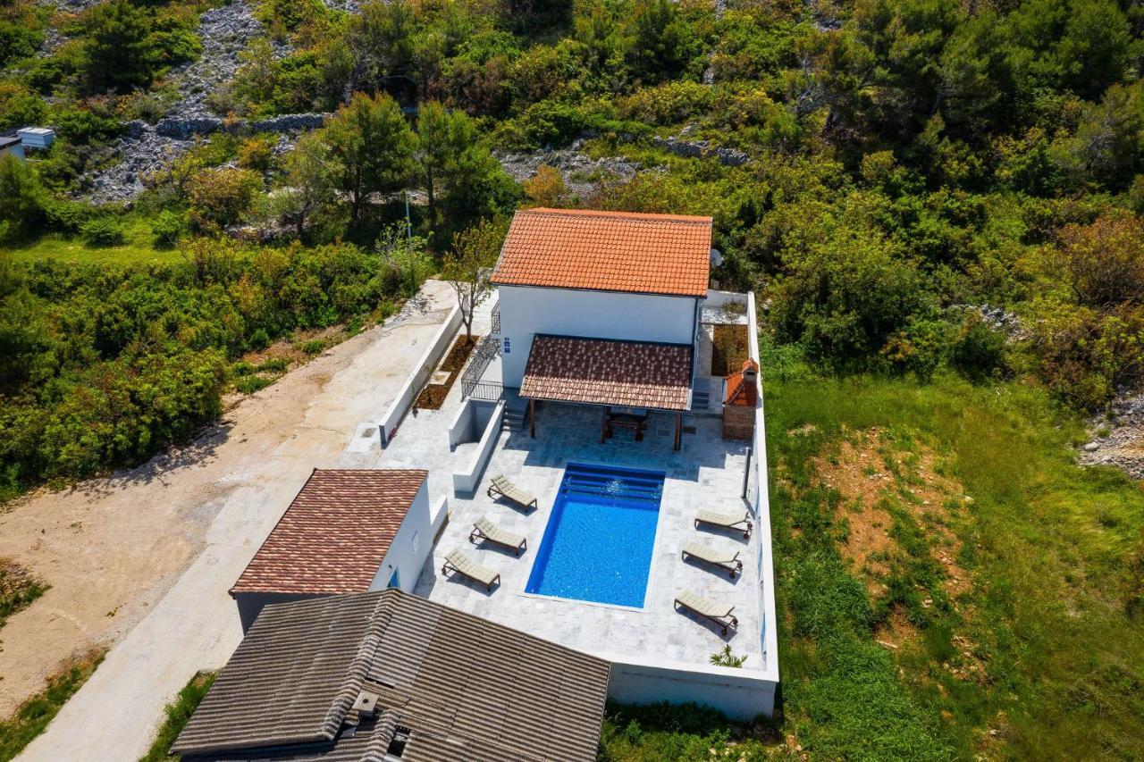 Vitez'S House Novigrad/Knight'S House Novigrad Daire Novigrad  Dış mekan fotoğraf